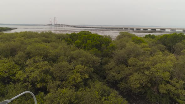 Suspension Cable Bridge in Surabaya