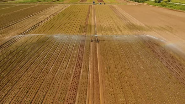 Irrigation System on Agricultural Land