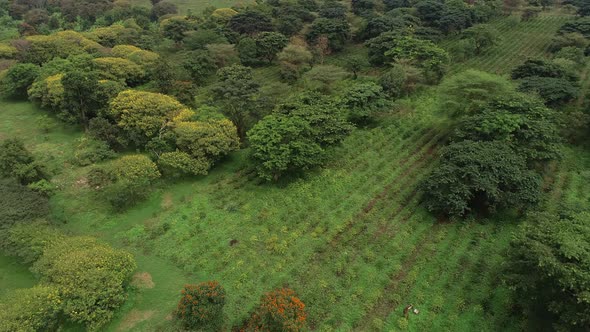 aerial view of the nature side of Arusha, Tanzania