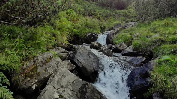 Rapid Stream Flowing Among Stones