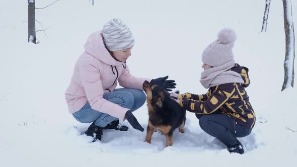 Play with Lovely Dog in the Snow