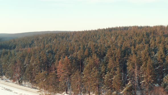 Winter Landscape Above the Winter Forest