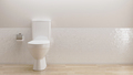 white toilet bowl in empty room, copy space, 3d illustration - PhotoDune Item for Sale