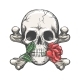 Skull Crossbones Rose - GraphicRiver Item for Sale