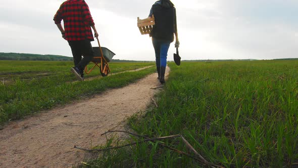 Teamwork in Agricultural Harvest Farming