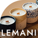 Lemani - Handmade Stuffs and Jewelry WordPress Theme - ThemeForest Item for Sale