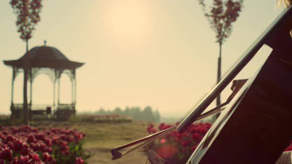 Enthusiastic Cello Player Rehearsing Performance in Red Flower Garden Outdoors