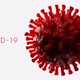 Coronavirus (COVID-19) Medical Animation. Realistic Animation of Virus - VideoHive Item for Sale