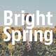 25 Bright Spring Lightroom Presets - GraphicRiver Item for Sale