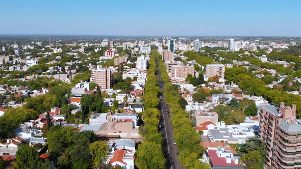 Avenue, Street, Road (Mendoza, Argentina) aerial view, drone footage