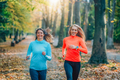 Friends Jogging Outdoors in a Public Park. Autumn, Fall. - PhotoDune Item for Sale