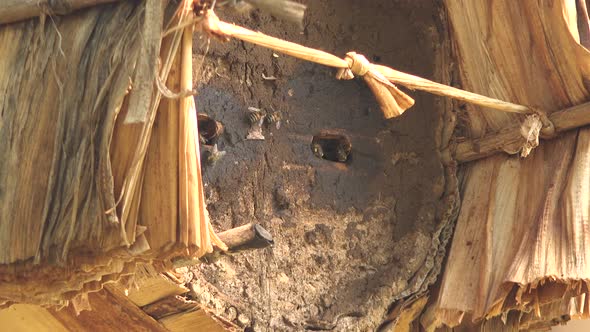 Beekeeping With Traditional Wicker Basket, Log and Skep Beehive