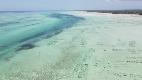 Low Tide in the Ocean Near the Coast of Zanzibar Tanzania Slow Motion