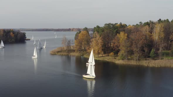 Sailing Boats Regatta