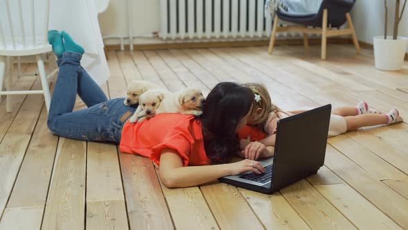 Puppies Lying on Back of Woman Working on Laptop