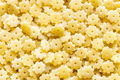 food background from uncooked stelle pasta pieces - PhotoDune Item for Sale
