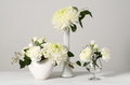 White floral composition - PhotoDune Item for Sale