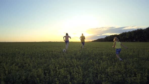 Children Playing In The Summer Field With Grass And Blue Sky