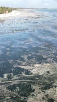 Vertical Video of Low Tide in the Ocean Near the Coast of Zanzibar Tanzania