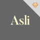 Asli – Creative Portfolio Sketch Template - ThemeForest Item for Sale