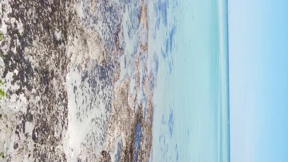 Vertical Video of the Ocean Near the Coast of Zanzibar Tanzania Aerial View