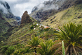 The village of Masca on Tenerife in the Canary Islands - PhotoDune Item for Sale