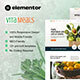 Vitameals - Fruits & Vegetables Store Elementor Template Kit - ThemeForest Item for Sale