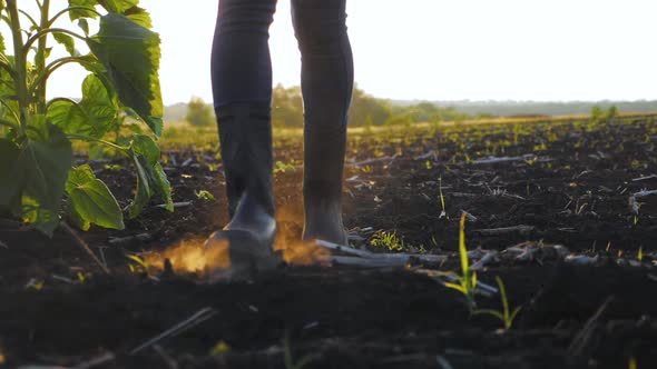 Agricultural Business