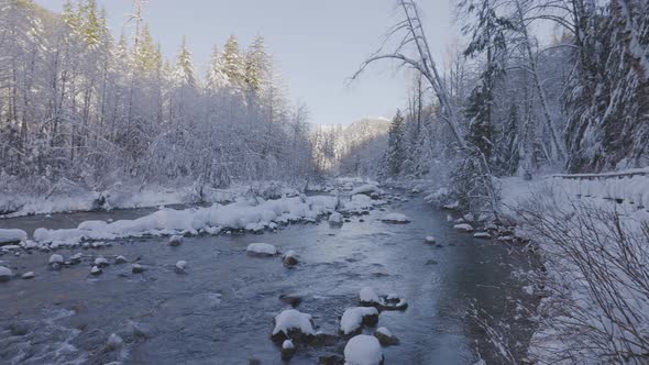 River in Canadian Nature Trees in Forest Winter Snow Sunny Sky