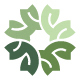 Leaf Flow Logo - GraphicRiver Item for Sale