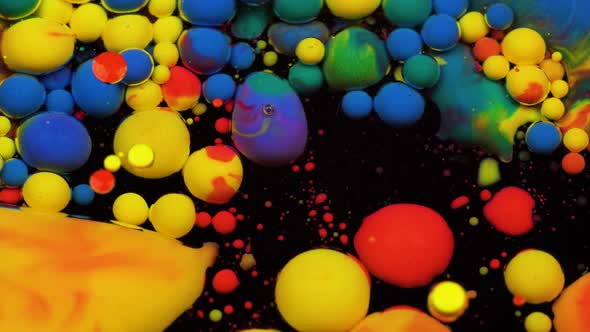 Amazing Multicolored Bubbles of Paint on the Oil Surface. Paint in Oil