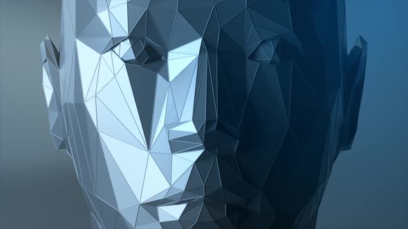 Creates a Polygonal Digital Human Face