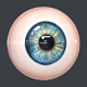 Human Eyeball Pack - Realistic 3D Lowpoly Model - 3DOcean Item for Sale