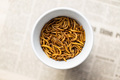 Fried salty worms. Roasted mealworms in bowl. - PhotoDune Item for Sale