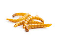 Fried salty worms. Roasted mealworms. - PhotoDune Item for Sale