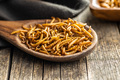 Fried salty worms. Roasted mealworms on wooden spoon. - PhotoDune Item for Sale