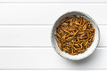 Fried salty worms. Roasted mealworms in bowl. - PhotoDune Item for Sale