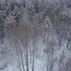 Over The Snowy Winter Forest - VideoHive Item for Sale