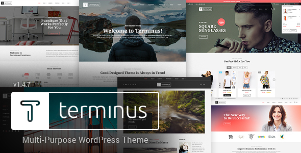 Terminus - Responsive Multi-Purpose WordPress Theme