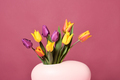 Beautiful tulips - PhotoDune Item for Sale