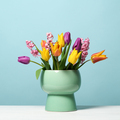 Beautiful tulips - PhotoDune Item for Sale