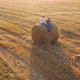 The Kids Sit on the Haystack - VideoHive Item for Sale