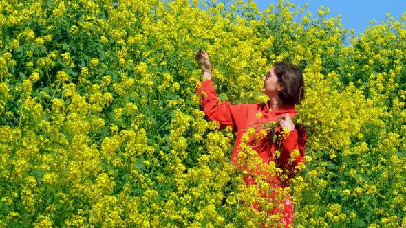 a Young Woman in a Flower Spring Field Sniffs Flowers and Is Happy