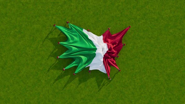 Italy Flag