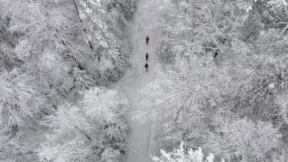 3 People Walking Beautiful Snow Forest in Winter Aerial View