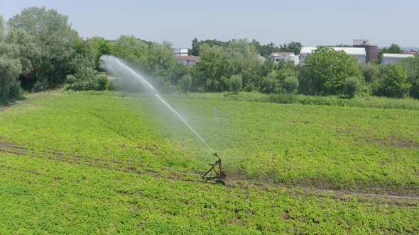 Tracking shot of agricultural sprinkler watering field