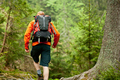 Young man in orange jacket walking hiking outdoors with backpack in green european forest - PhotoDune Item for Sale