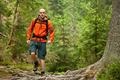 Young man in orange jacket walking hiking outdoors with backpack in green european forest - PhotoDune Item for Sale