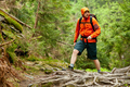 Young man in orange jacket walking hiking outdoors with backpack in green european forest - PhotoDune Item for Sale