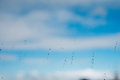 Raindrops on a window against the sky - PhotoDune Item for Sale